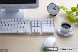 電腦軟硬件如何影響運行速度？從核心到外設的全面解析